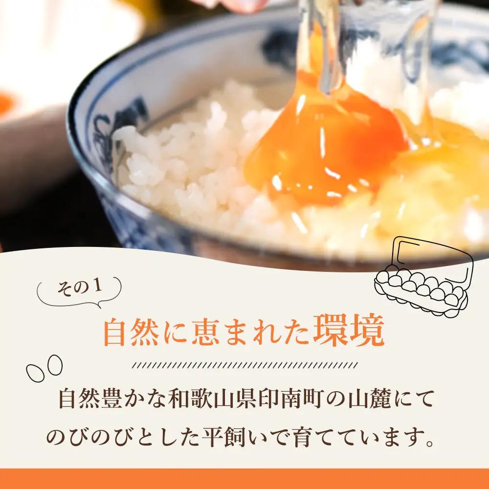 たまご  紀の国みかん極みたまご36個 　卵  玉子   卵かけご飯