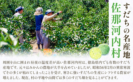 ＜2026年予約受付＞ 徳島県産 訳あり【B級】すだち 1kg《9月上旬〜9月末発送予定》佐那河内村