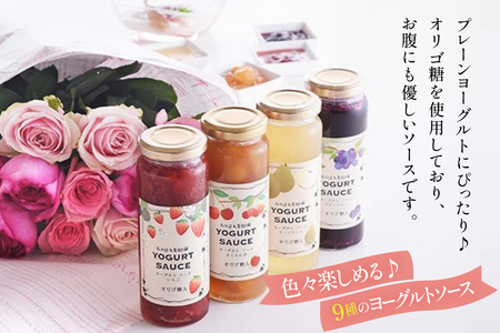 ヨーグルト ソース バラエティー 10本 セット [たかはた果樹園 山形県 高畠町 tk06ays650019] 詰め合わせ フルーツ ベルーベリー 梨 さくらんぼ マンゴー グレープフルーツ キウイ