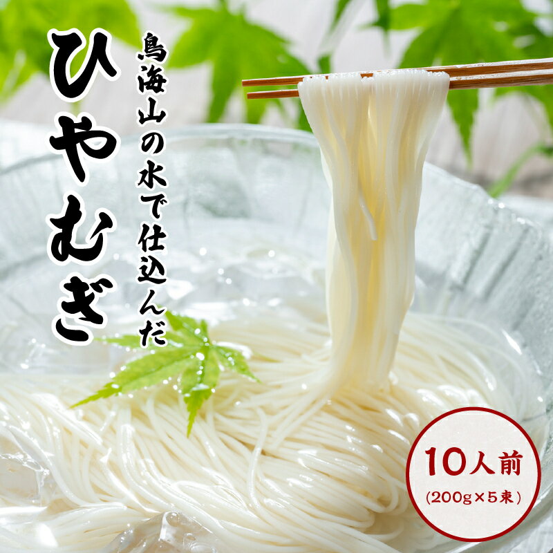 【ふるさと納税】ひやむぎ200g×5束（10人前 冷麦 冷や麦）　麺類 冷麦