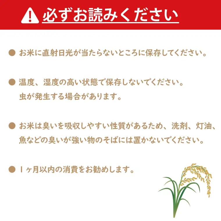 令和7年産 茨城 コシヒカリ 10kg (5㎏×２袋) 米 精米 茨城県産_CU001