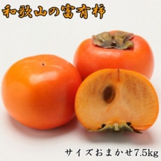 和歌山産富有柿 約7.5kg サイズおまかせ 【海南市】