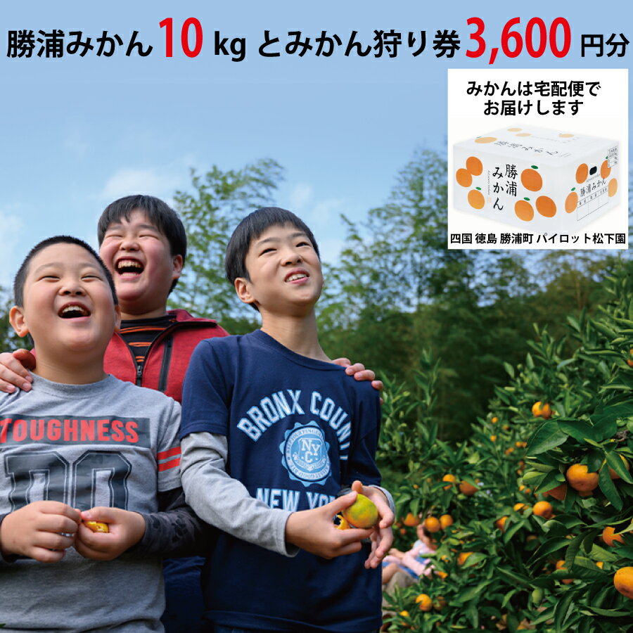 【ふるさと納税】パイロット松下園 勝浦みかん 10kg＋みかん狩り券 3600円分