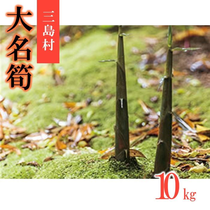 【ふるさと納税】【2025年お届け】大名筍 10kg ( 約32本 ) ( 竹島産 ) | 野菜 たけのこ 筍 竹の子 人気 おすすめ 送料無料 ご当地 鹿児島県 鹿児島 三島村