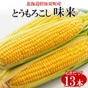 【ふるさと納税】北海道産 朝もぎ イエロー とうもろこし 味来 みらい 2Lサイズ 13本 約5kg 大きめ 夏野菜 とうきび 新鮮 野菜 トウモロコシ ギフト 産地直送 コーン 産直 グリーンアースファーム　 スイートコーン 　お届け：2024年8月上旬～8月下旬