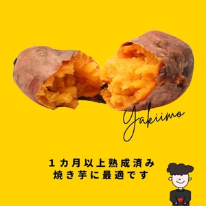 GENの熟成 安納芋 (生芋)S～Lサイズ 5kg さつまいも 野菜 焼き芋 ふかし芋 大学芋 ピロール農法 天ぷら サツマイモご飯 食材 グルメ 