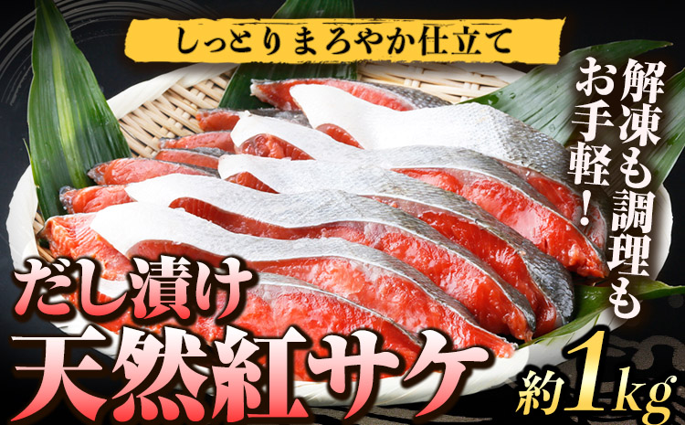 和歌山 魚鶴仕込の 天然 紅 サケ 切身 約 1kg 株式会社魚鶴商店《30日以内に出荷予定(土日祝除く)》 和歌山県 日高町 鮭 サケ さけ しゃけ(F-5)