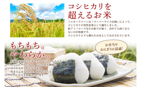 【12ヶ月定期便】茨城県産ミルキークイーン（KY-10）