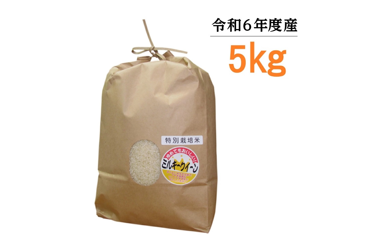 
            【令和6年度産】東浦町のミルキークイーン 5kg｜米 おこめ 精米 直送 鈴木農産 愛知県
          