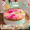 【ふるさと納税】【季節限定商品】【先行予約】フラワーケーキM Mothers day Flower Gift 花ギフト 生花 ＜母の日ギフト＞ ※2025年5月6日～9日の間にお届け / 母の日 プレゼント サプライズ 人気店 おしゃれ かわいい 花 アレンジメント ギフト メッセージカード付