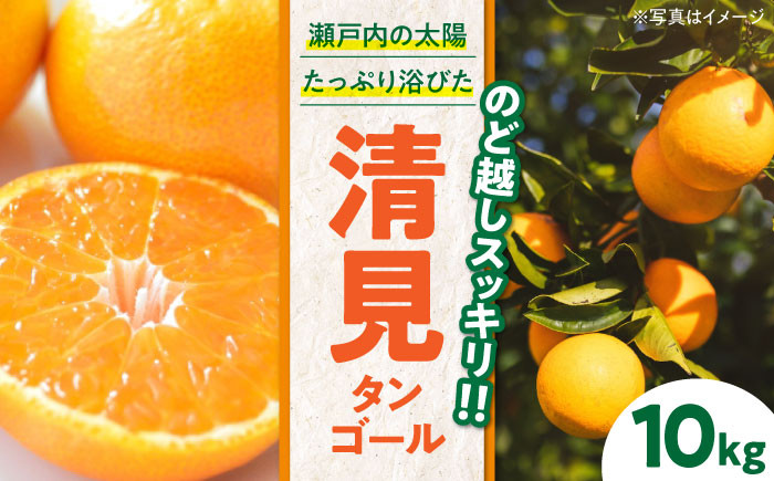 
            【先行予約】【2026年3月下旬から順次発送】清見タンゴール 10kg 愛媛県大洲市/永沼農園 [AGAW006] 先行予約 みかん ミカン 蜜柑 清見タンゴール 果物 くだもの フルーツ 愛媛県産 大洲市産 産地直送 おすすめ 人気 お取り寄せ 送料無料 贈答 ギフト
          