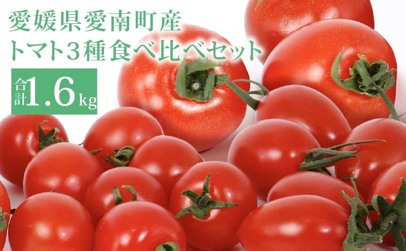 
                  トマト3種食べ比べ アイコ ラブリーさくら フルティカ 約1.6kg 大瀧農園 トマト 完熟トマト 野菜 産地 直送 人気 国産 愛媛県 愛南町 発送期間：2026年3月1日～7月頃まで（※なくなり次第終了）
                