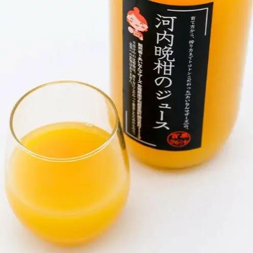果汁100% ストレートジュース 河内晩柑ジュース 6本 セット (1000ml×6本) 14000円 数量限定 期間限定 高級 贈答 ギフト プレゼント 母の日 おやつ 国産 フルーツ 果物 柑橘 