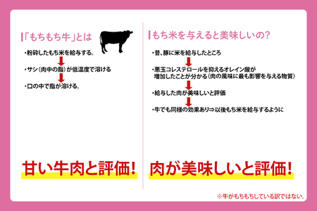 しわもちもち牛 スライス 肩ロース 500g (AM003-2)肩ロース