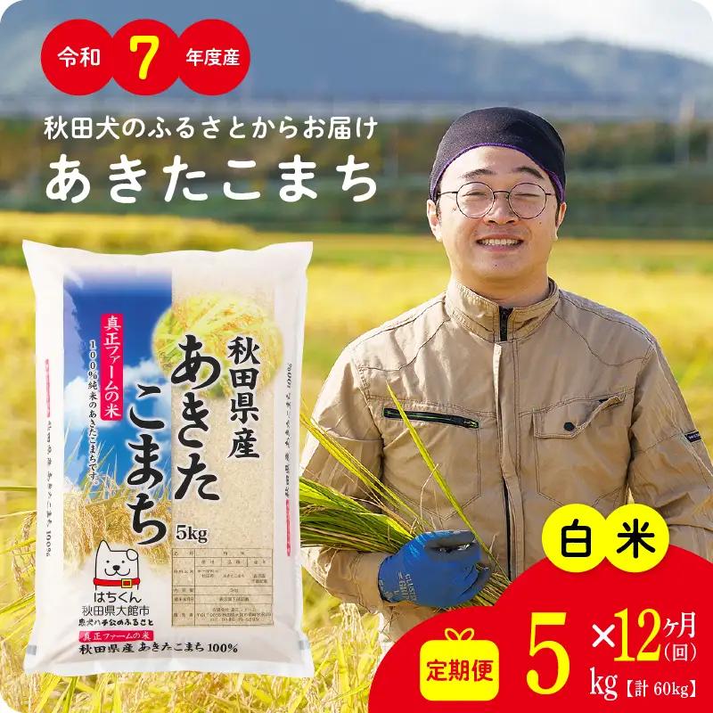 《令和7年産》【12ヶ月5kg定期便】白米 あきたこまち 精米 ブランド米 定期便【真正ファーム】