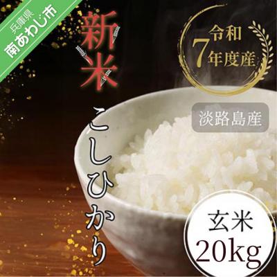 ふるさと納税 南あわじ市 令和7年産新米　淡路島産こしひかり　玄米20kg