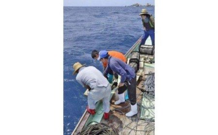 数珠 サンゴ ピンク珊瑚 108珠 本連数珠 房 正絹灰桜 数珠袋付き