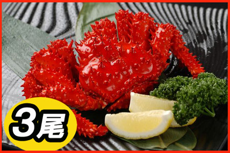 【北海道根室産】花咲かに500前後～650g前後×2尾 B-30002