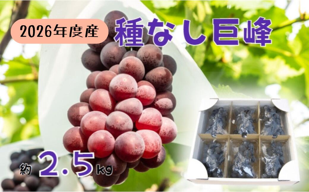 【ふるさと納税】【2026年先行予約】ぶどう 巨峰 バラ房・バラ粒パック 約2.5kg（約420g × 6パック）訳あり 種なし 信州直送 | 長野県産 ブドウ 種無し 葡萄 | 令和8年9月中旬～10月中旬頃順次発送予定 | 長野県 生坂村 [姫野農園]