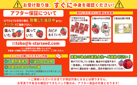 暖家のいちご　ギフト用完熟あまおう（８粒～９粒）×2パック 3Z1-S