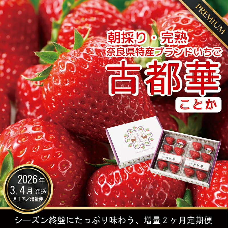 【ふるさと納税】【3・4月増量発送】奈良県特産 高級ブランドいちご「古都華」旬の2ヶ月定期便 4パック×2ヶ月// いちご イチゴ 古都華 フルーツ 果物 旬 限定 ブランド 定期便 甘い 先行受付 予約 贈答用 ギフト 化粧箱