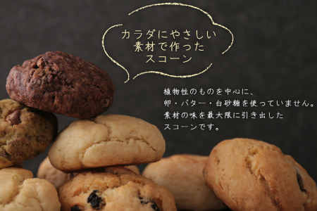 スコーン18個 5種詰合せ【B250】