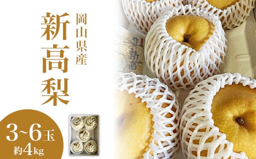 
            新高梨 3～6玉（約4kg）化粧箱入り【2026年9月下旬～11月上旬発送予定】
          