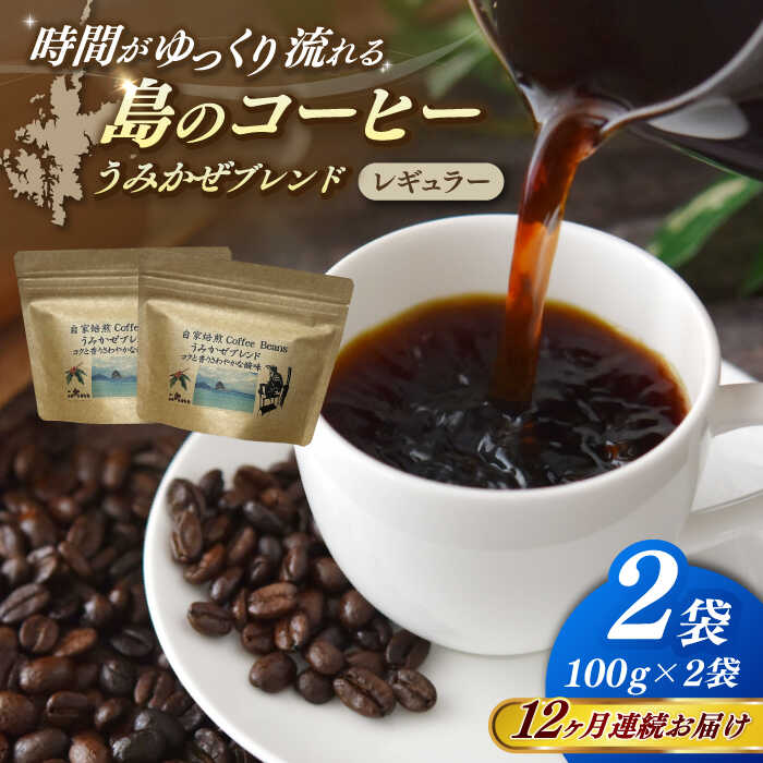 【ふるさと納税】【全12回定期便】Fuuki Coffee　Roaster　Coffee　Beans うみかぜブレンド2パック【冨喜】[RBO025]
