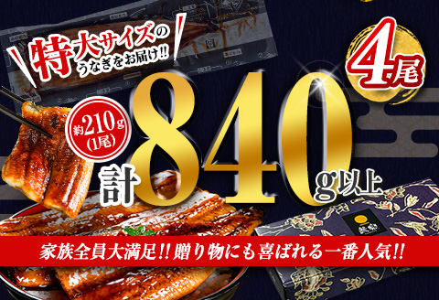 特大 うなぎ 鰻楽 国産 4尾 計840g以上 蒲焼 無頭 冷凍 個包装 贈答品 ギフト 数量限定 ※2026年8月お届け【C388-840-2608】