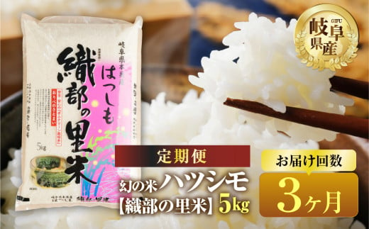 【令和7年産】【3回  定期便 】 ハツシモ 5kg × 3回【織部の里米(R)】 米 こめ ごはん 白米 岐阜県産 本巣市 お米 精米  寿司 幻の米 岐阜県産 もとすファーム