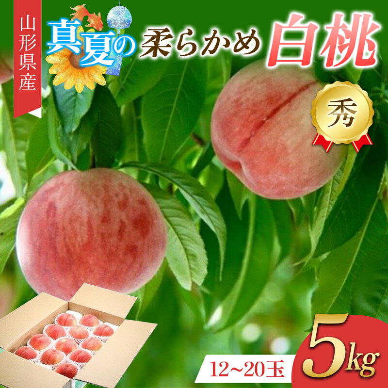 【ふるさと納税】 真夏の白桃 5kg 秀品 柔らかめの品種 FSY-2756