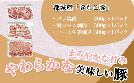 「きなこ豚」焼肉900gセット_AA-1201_(都城市) 宮崎県産豚肉 きなこ豚 豚バラ焼肉用 (300g) 豚肩ロース焼肉用 (300g) ロース生姜焼き用 (300g) BBQセット バーベキュ