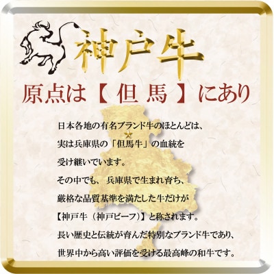 神戸牛 しゃぶしゃぶ・すき焼き用 500g TSS2 【2026年4月より順次発送】【配送不可地域：離島】