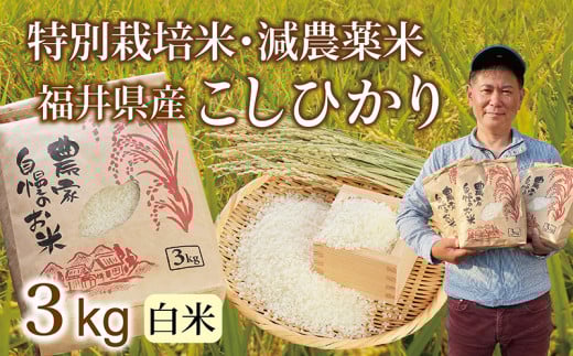 〈先行予約・新米〉減農薬米 こしひかり 3kg ／令和6年福井県産 （白米）2024年10月発送 人気品種 少量サイズ便利