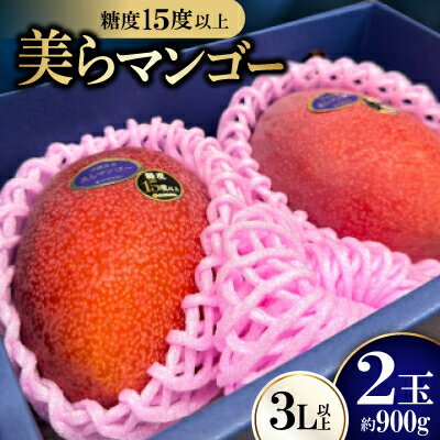 【ふるさと納税】【2026年6月から順次発送・数量限定】糖度15度以上を選別した「美らマンゴー」約900g(2玉)【配送不可地域：離島】【1681771】