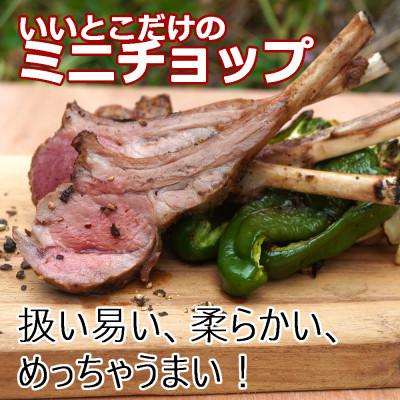 ふるさと納税 室蘭市 下味付き訳ありラムチョップ約500g |  | 01