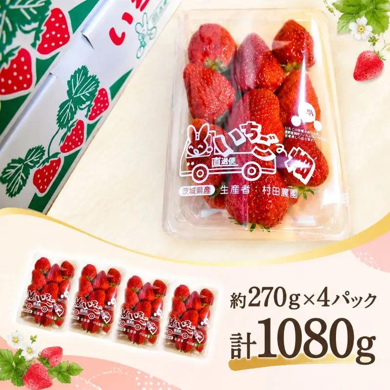 【2027年2月発送】 いちご 紅ほっぺ 計1080g 約270g×4パック いちご