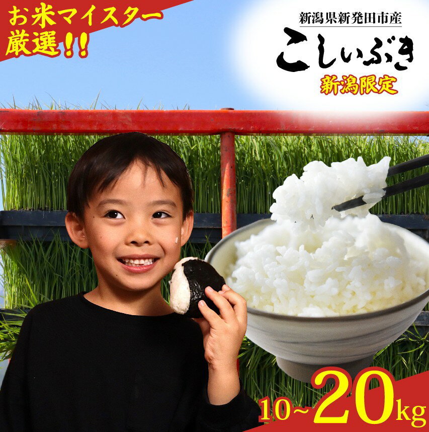 【ふるさと納税】 こしいぶき 10kg 20kg 令和7年産 先行予約 コシヒカリ こしひかり 遺伝子を引き継ぐ ご飯 備蓄 コメ お米 米 こめ しんまい 新潟産 新潟米 新潟県 新潟 新発田 新発田市 国産 新発田市産 斗伸 toushin039 toushin040