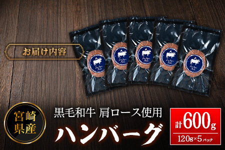 ハンバーグ 120g×5P 肉 肩ロース使用 A342