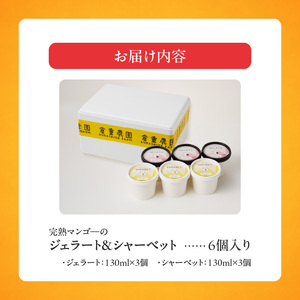 【2027年7月お届け】完熟マンゴーのジェラート＆シャーベット130ml×6個入り_完熟 マンゴー ジェラート シャーベット セット 130ml × 6個 各3個 高糖度 果肉 使用 地植栽培 アイス