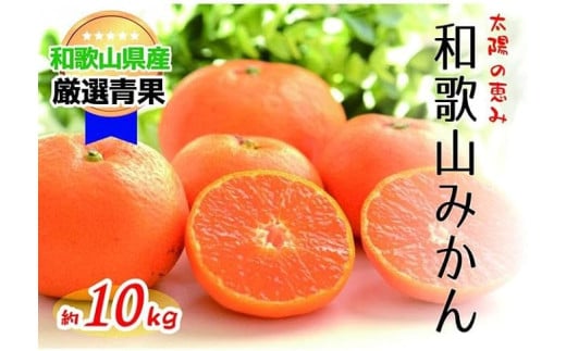 【太陽の恵み】和歌山みかん(約１０kg) 【2025年12月上旬～2026年1月下旬発送】