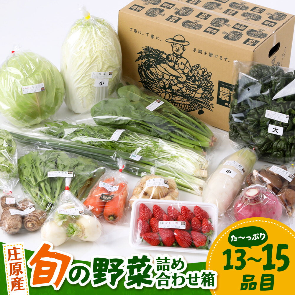 【ふるさと納税】（13～15品目）広島県庄原産「旬の野菜」詰め合わせ箱 配送回数が選べる【1回配送 / 定期便3回 / 定期便6回 / 定期便12回】 SN-6 食べ方の説明書付 野菜セット 野菜 やさい 詰め合わせ おまかせ おすすめ 新鮮 直送 旬 農産物 広島県庄原市 広島県 庄原市