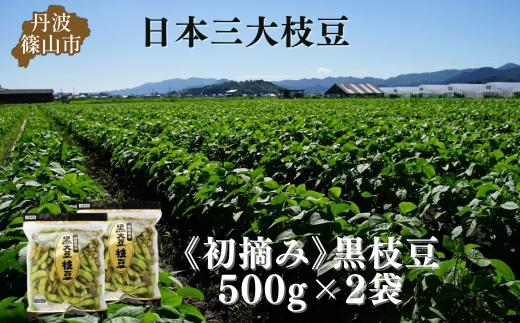 秋の味覚「丹波黒枝豆」　フレッシュな甘み・500g×2袋　初摘み 【2025年10月6～13日頃お届け予定】　プレミアム枝豆 期間限定 黒枝豆 えだまめ エダマメ お取り寄せグルメ 高級 特産品 名産品 おつまみ おうち居酒屋