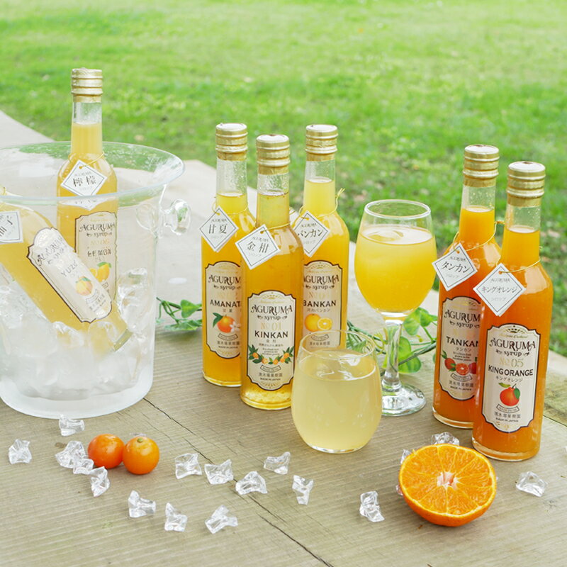 【ふるさと納税】手作りフルーツシロップ 300ml×7本セット - ジュース 詰め合わせ みかん 柑橘 果実 果物 ギフト 贈答 金柑 甘夏 たんかん 河内晩柑 キングオレンジ しらぬい 不知火 檸檬 レモン ゆず
