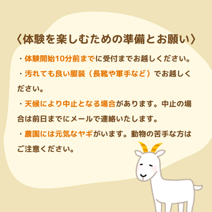 ジャガイモ収穫体験＆プチ農業体験（1組5名まで） 〈 旬の野菜の収穫体験 食育 収穫体験 農業体験 体験 収穫 野菜 子供 親子 レジャー 観光 農作物 ふるさと納税 柏 〉