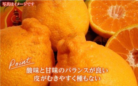 【1月中旬～3月下旬発送・バランスの良い酸味と甘味】佐賀県産 みかん「デコポン」5kg 吉野ヶ里町/リエンサーク [FCC007]