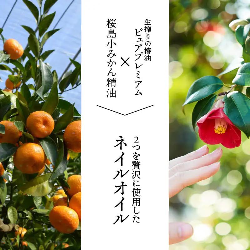 桜島つばきネイルオイル 2本セット K062-017