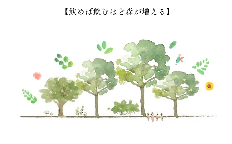 森の力でおいしく整うクラフトコーラ 5本セット 森のコーラ 整う ダイエット 美容 健康 腸活 ダイエットおやつ おやつ ドリンク 甘酒 ご褒美 ギフト おすすめ 姫路市 森を守る 森林再生 ナチュラ