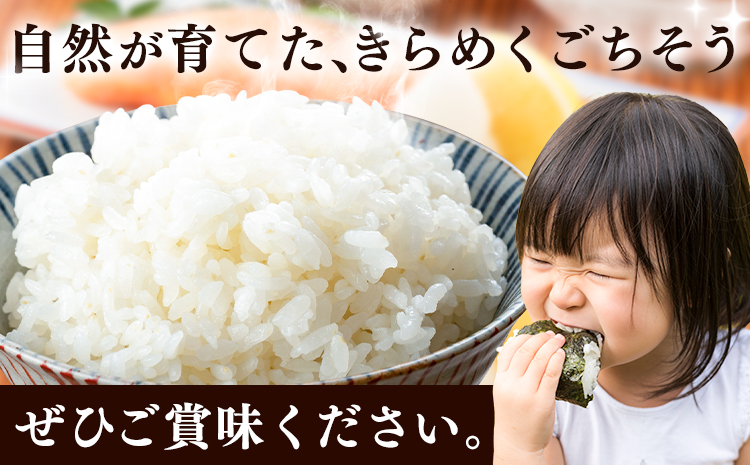 米 こめ 岩出市応援米 約5kg 《30日以内に出荷予定(土日祝除く)》 和歌山県 岩出市 お米 コメ ご飯 ごはん 米5kg