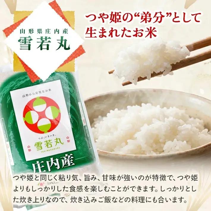 ≪新米予約≫ 雪若丸 10kg 令和8年産米 山形県庄内産 ご希望の時期頃にお届け 東北 山形県 遊佐町 庄内地方 米 お米 精米 白米 ブランド米 庄内米 ご飯 ごはん 農協 JA 12月中旬 [1